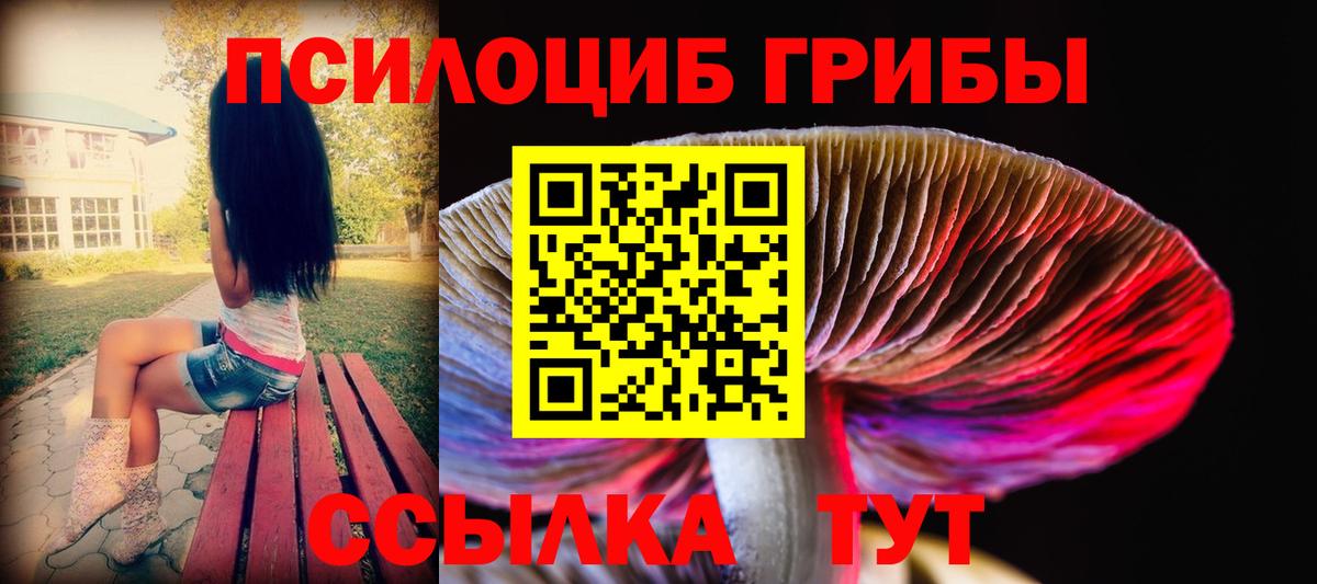 Новоалтайск  Галлюциногенные грибы ЛСД  Вход с VPN 