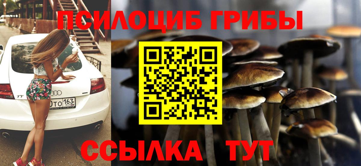 Псилоцибиновые грибы мицелий Новоалтайск